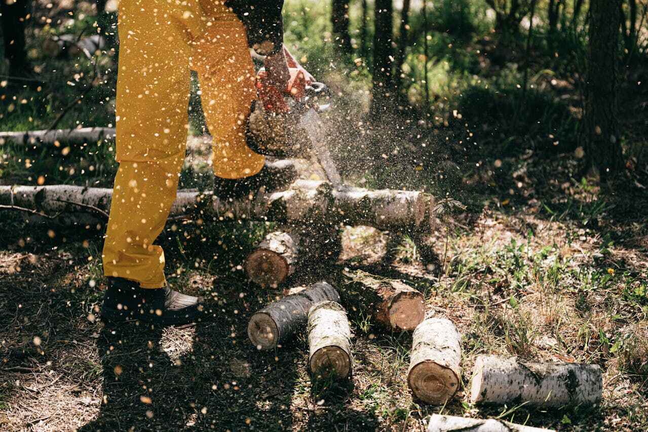 Tree Branch Trimming in Jones Creek, TX